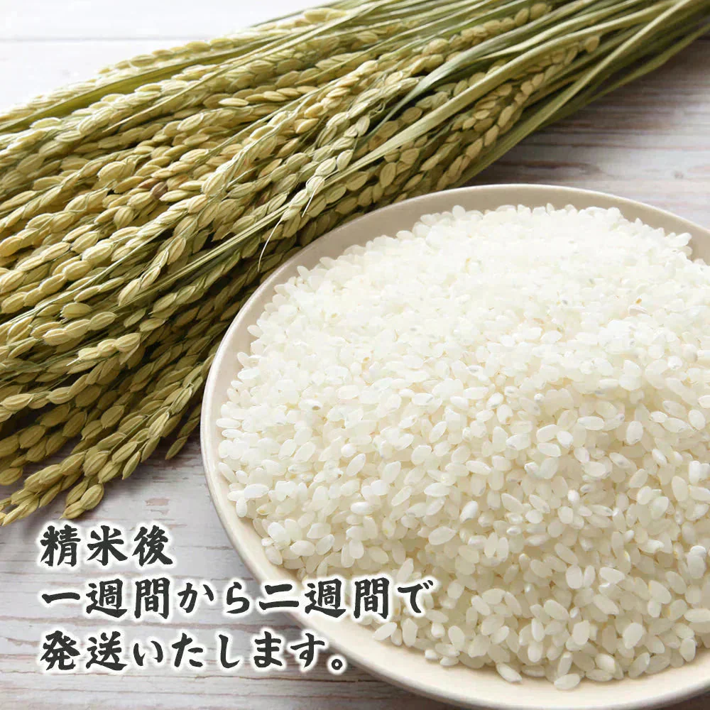 【白米】北海道産 ゆめぴりか 10kg(5kg×2袋) [北海道産ゆめぴりか100％] 単一原料米 送料無料 精米工場からの直送品