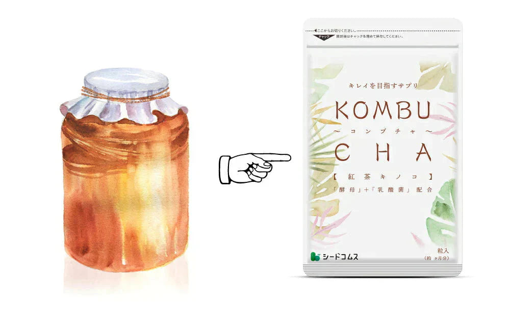 コンブチャ（KOMBUCHA）約1ヶ月分 酵素 コンブチャ  ダイエット サプリ コンブチャ   美容 健康 送料無料 30日分 乳酸菌 美容成分 紅茶キノコ 酵母 ビタミンD 葉酸 ビタミンC ビタミンB  大豆ペプチド コンブ【カウシェファーム収穫対象商品】
