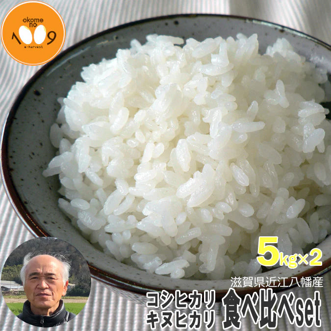 新米 食べ比べ 白米10kg(5kg×2) 滋賀県近江八幡産 コシヒカリ キヌヒカリ 令和6年産 内野営農組合 環境こだわり農産物