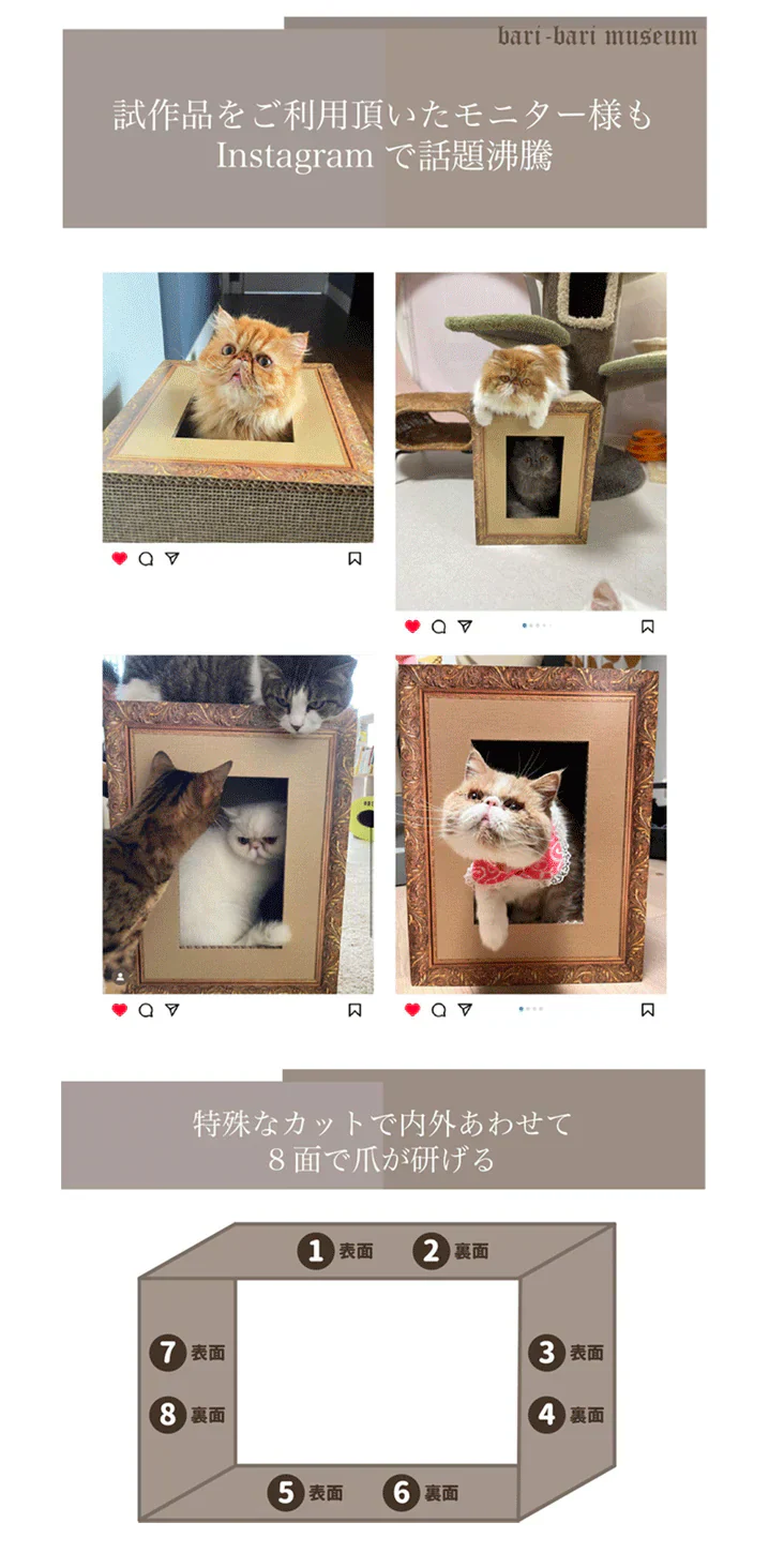 バリバリミュージアム -フェルメール絵画風-  爪とぎハウス◆ ねこの爪とぎ キャットハウス ペットハウス ダンボール 段ボール 爪とぎ 爪研ぎ つめとぎ 猫 ネコ 猫用品 ペット ぺっと グッズ  画家 顔ハメ 絵 額 オシャレ かわいい 猫の日 おしゃれ