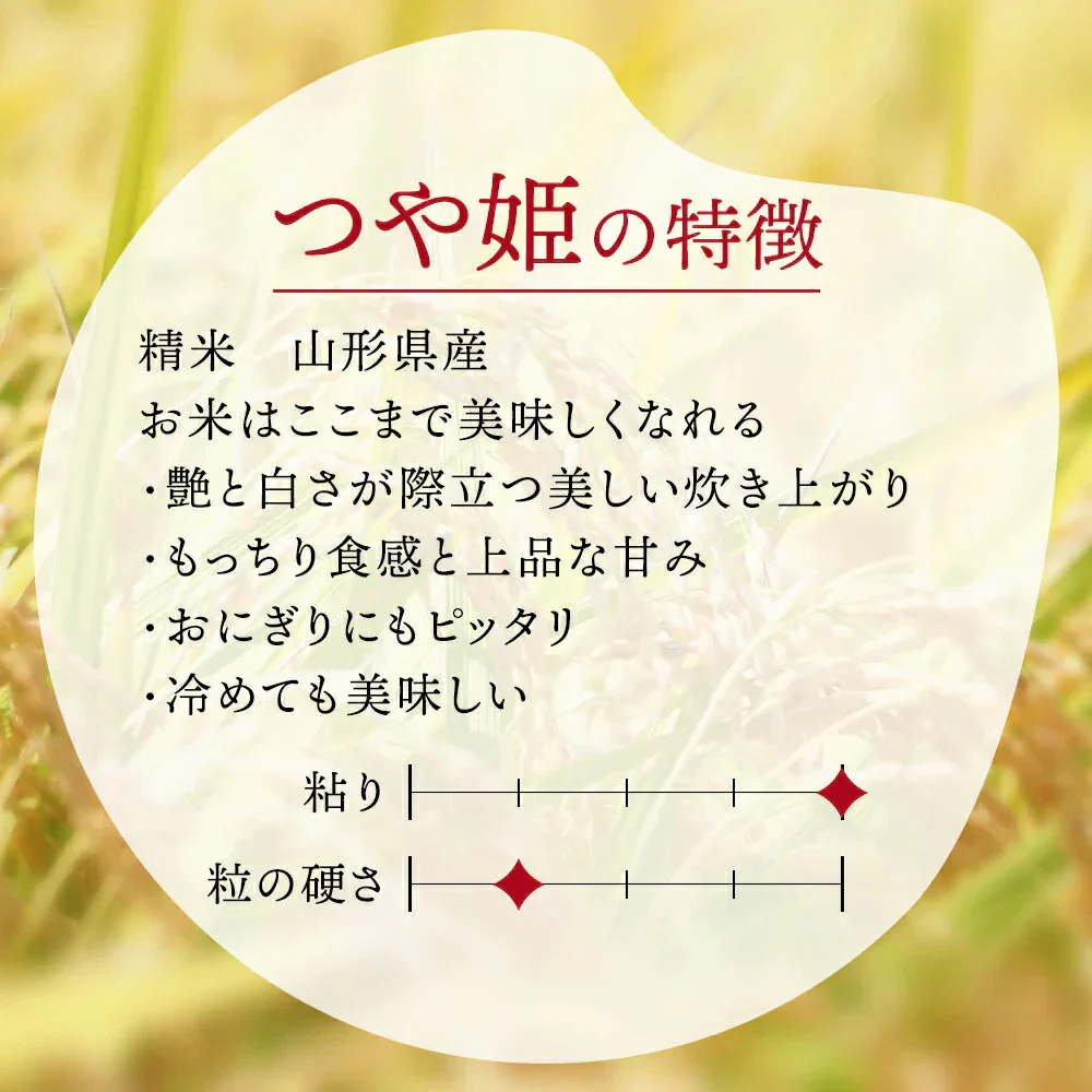 山形のブランド米をお試しください！新米 山形県産 つや姫 300g 2合分（精米）令和6年産 送料無料