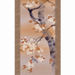 掛軸「桜花に小鳥」近藤玄洋筆 [ 収納箱 31×89 10年保証 桜 陽春 和 季節掛 国内産 十年間表装品質保証付 受注生産 床の間 和風 掛け軸 日本製 名画 縁起物 プレゼント 画寸 送料無料 ]