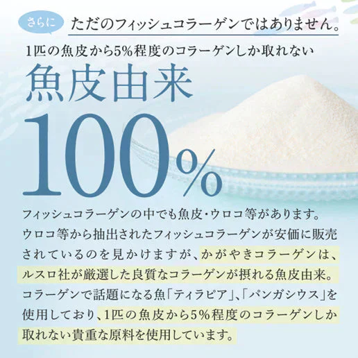 かがやきコラーゲン100g 送料無料 フィッシュコラーゲン 魚由来100％ Wの乳酸菌配合 コラーゲン