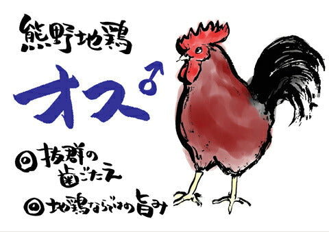 三重ブランド認定品 熊野地鶏　一羽セット（オス）