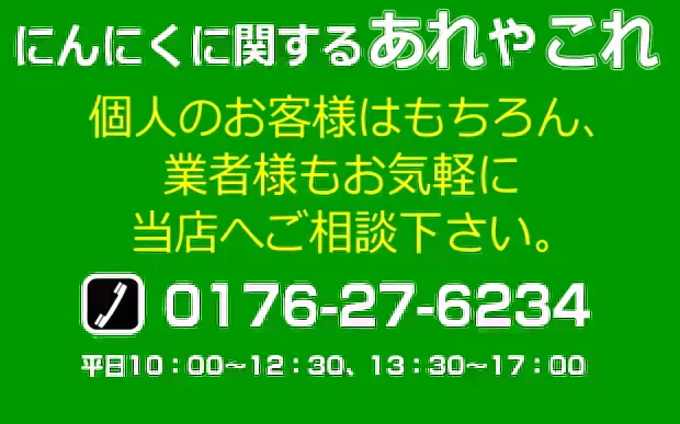 青森県産にんにく 1㎏ 訳あり C品 Mサイズ以上大玉混合 福地ホワイト六片種