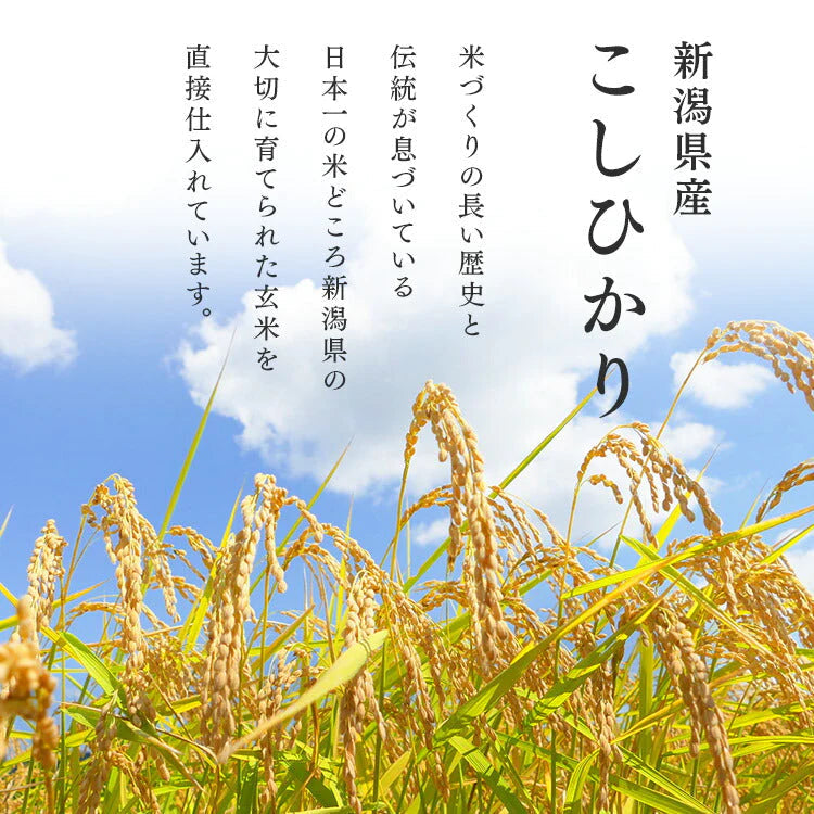 【カートアップNG】【2個セット】【新米】【令和4年産】白米 米 10kg (5kg×2) 新潟県産こしひかり 低温製法米 精米 お米 10キロ コシヒカリ ご飯 コメ アイリスオーヤマ ごはん アイリスフーズ