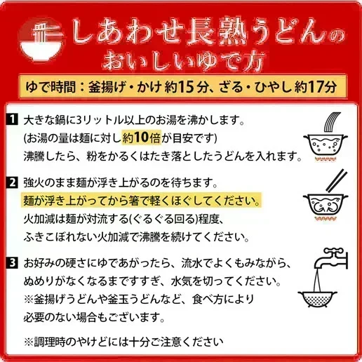 うどん 讃岐うどん 熟成うどん 約６人前 600g (300gx2袋) つゆ付き 送料無料 本場讃岐 純生熟成うどん 太麺 うどん お取り寄せ jukusei6-tuyu
