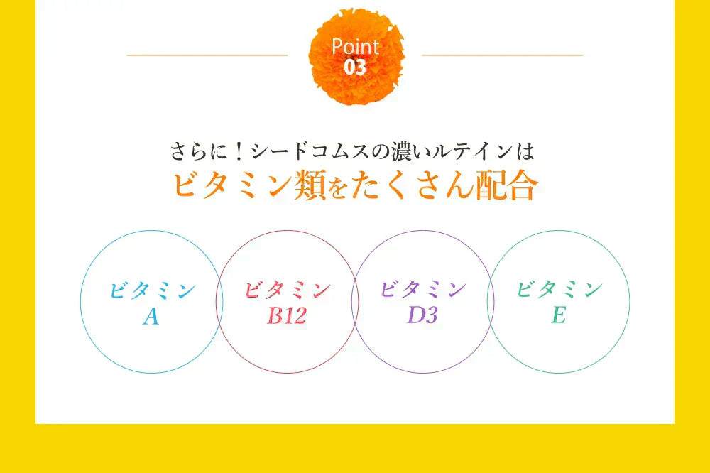 濃いルテイン《約3ヶ月分》ルテイン サプリ サプリメント 亜麻仁油 エゴマ油 ビタミンA ビタミンE ブルーライト デジタルケア マリーゴールド抽出物 PC スマホ【大容量】