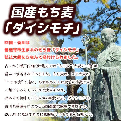 【ご新規さんとシェア買い】900g (450g×2)  国産もち麦 送料無料
