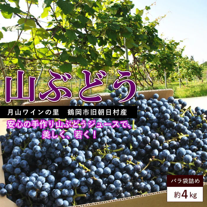 山ぶどう 約4kg 葡萄 ブドウ 山形産 国産 ご家庭用 バラ詰め