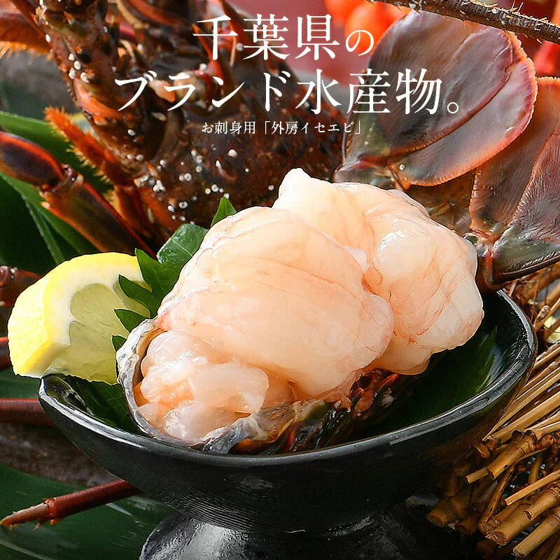 伊勢海老 千葉県産 外房イセエビ 小サイズ×4〜5尾 刺身 冷凍 伊勢エビ 伊勢えび えび エビ 海鮮 魚介 プリプリ 濃厚 グルメ 贈り物 ［送料無料］ 母の日 プレゼント ギフト  母の日思いの 健康 実用的 父の日 子供 孫