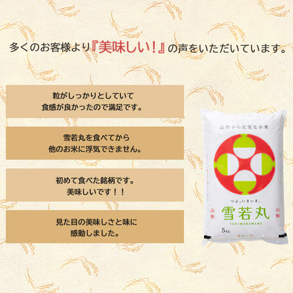 米 10kg 雪若丸 精米 山形県産 送料無料 令和6年産 ギフト 単一原料米 ブランド米 こめ コメ 白米 産地直送 kkb-006