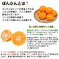 ポンカン 10kg 訳あり 送料無料 箱込 (内容量9kg+不良果補償分500g) 無選別 みかん 熊本県産 デコポン 蜜柑