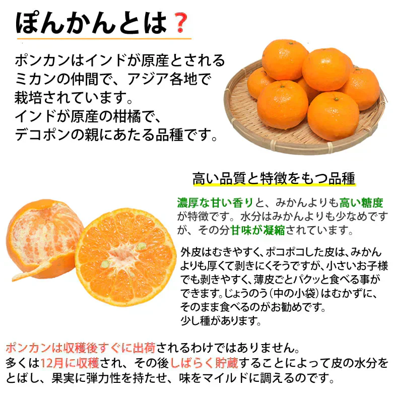 ポンカン 10kg 訳あり 送料無料 箱込 (内容量9kg+不良果補償分500g) 無選別 みかん 熊本県産 デコポン 蜜柑