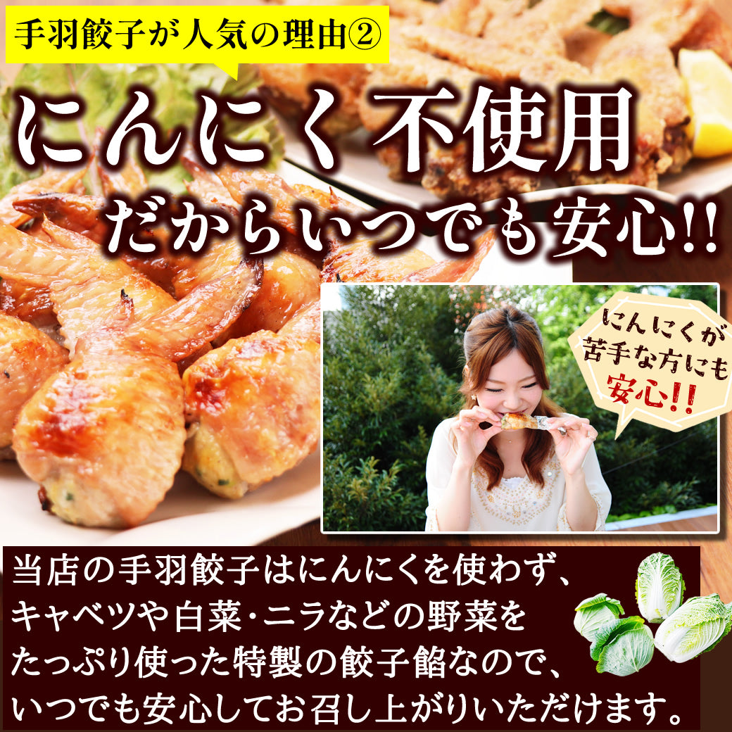 8秒に1本売れてる！手羽餃子 10本入 冷凍 餃子 国産鶏肉 惣菜 おかず 簡単調理 お取り寄せ グルメ 手羽先餃子 ビール おつまみ BBQ 人気 点心 送料無料 リュウジのバズレシピ