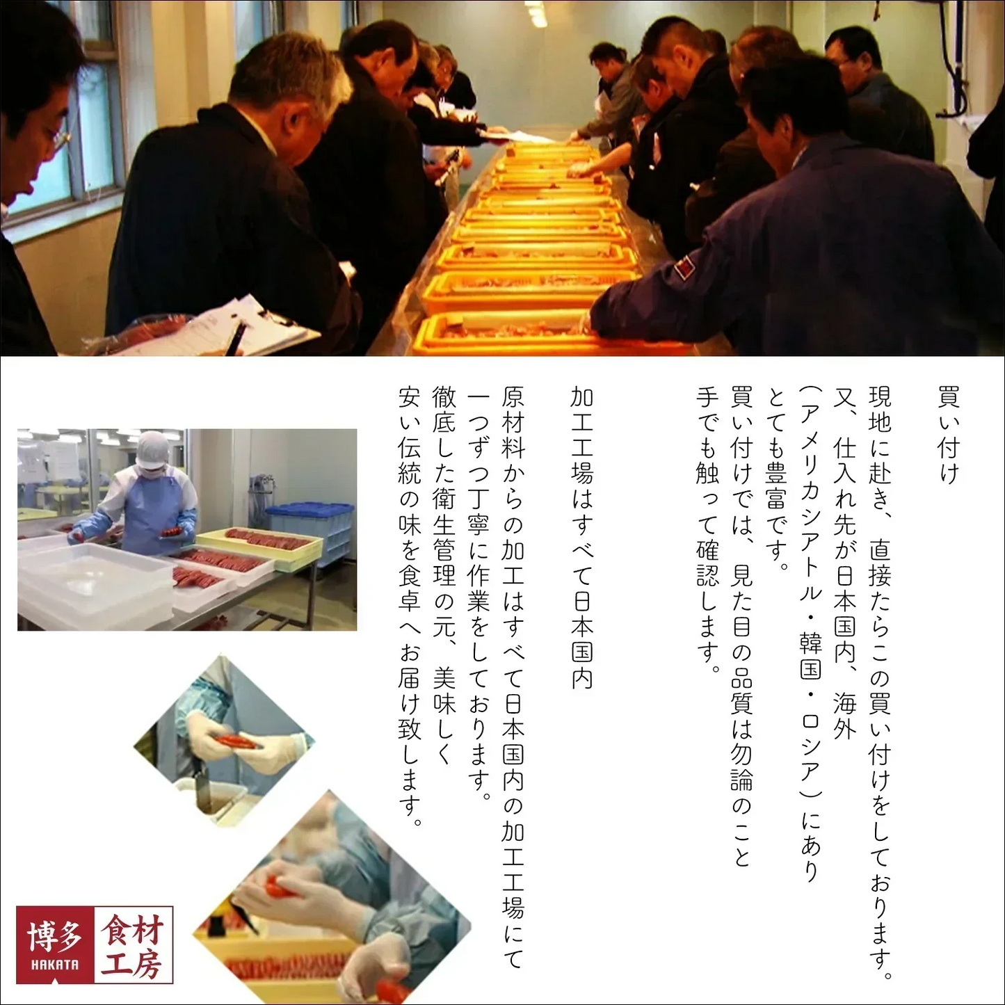 名物博多明太子（有色）　一本物　中サイズ