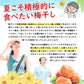 紀州南高梅のはちみつ梅干し つぶれ梅 200g×2パック