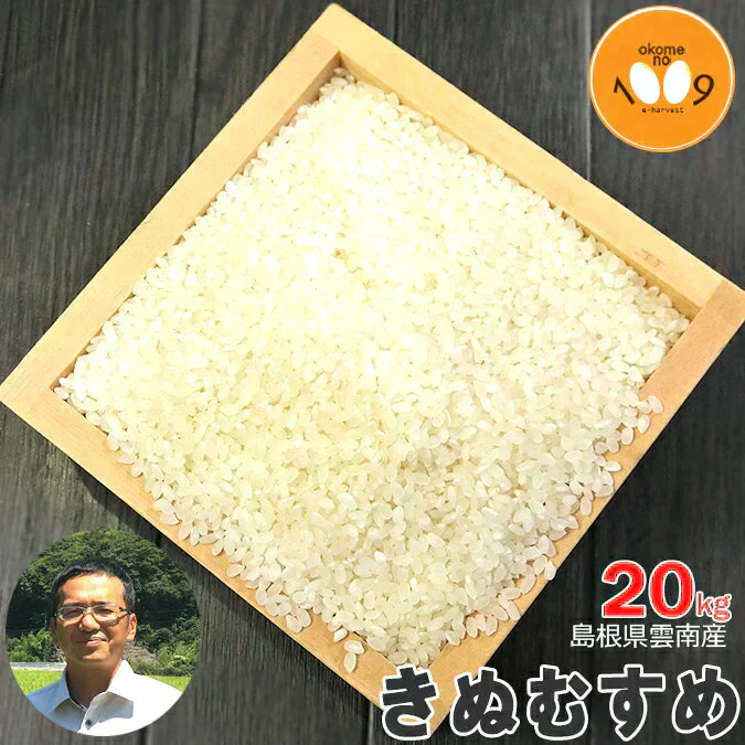 米 島根県雲南産 きぬむすめ 玄米 20kg 令和7年産 石原公夫