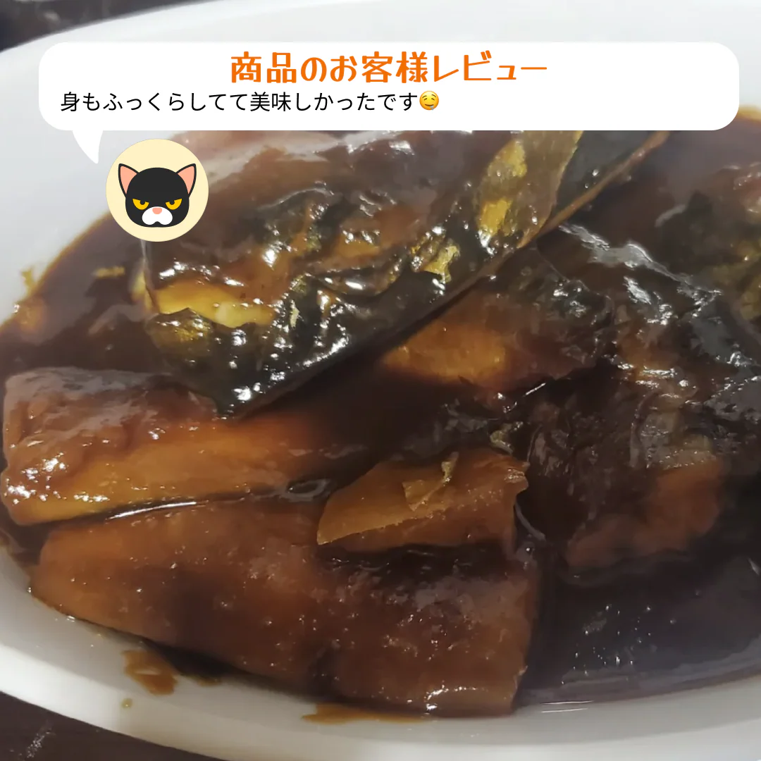 さば 無添加 無塩 トロさば サバ 鯖 約2kg(12〜16尾）トロ鯖 海鮮 天然 美味しい 魚 魚介 海産物 おかず おつまみ 乾き物 酒の肴 贈り物 お取り寄せグルメ 食べ物 おいしい 絶品