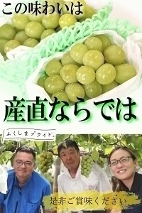福島県産 秀品 シャインマスカット 大房２房セット