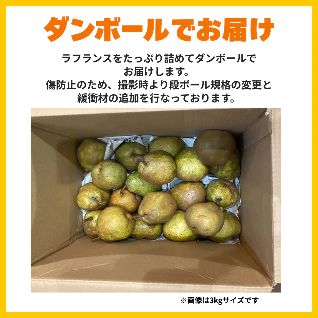 レスキューラフランス 訳あり 規格外 5kg 洋梨 山形県産 家庭用  果物 フルーツフードロス削減・食品ロス削減