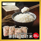 【お助け米20ｋｇ】令和5年産　あきたこまち　家計お助け米　農家直送便　20ｋｇ（5ｋｇ×4袋）　米びつ当番【天鷹唐辛子】プレゼント付き【ご新規さん限定商品】