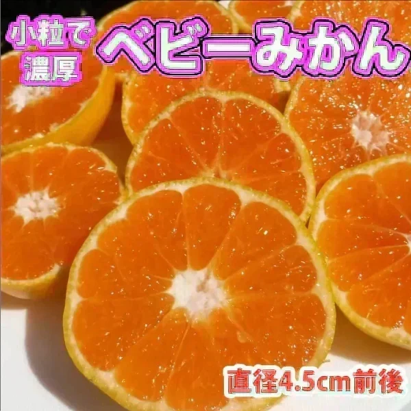 みかん 激レア小粒 直径4.5cm前後 訳あり 和歌山有田みかん 5kg