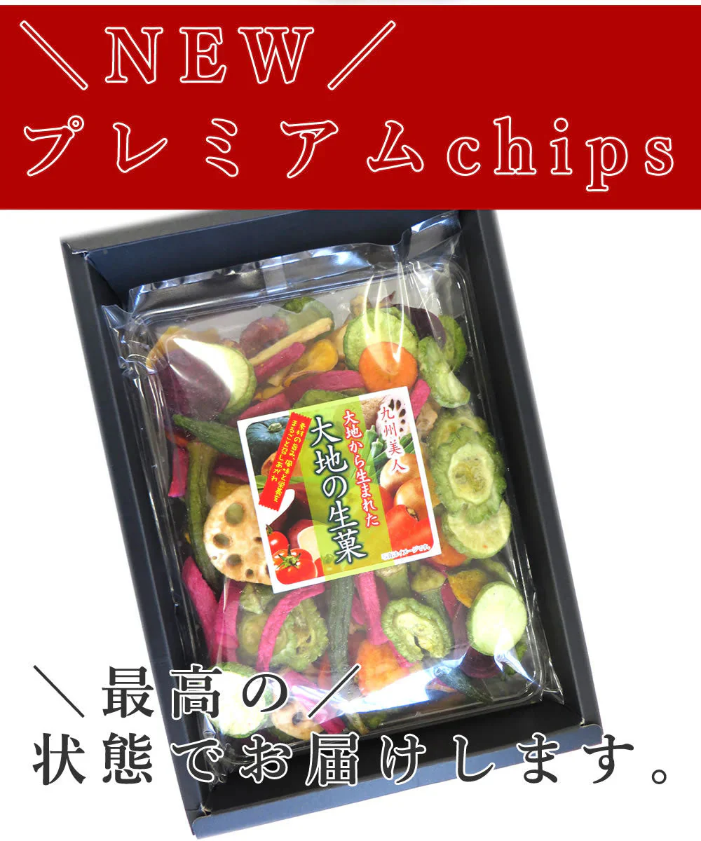 【230g】 プレミアム野菜チップス野菜スナック