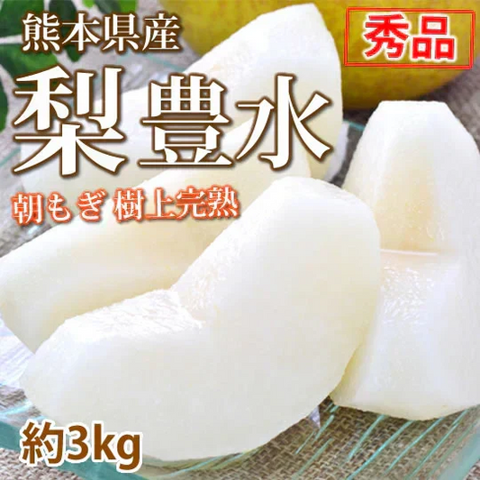 梨 豊水 送料無料 秀品 約3kg 熊本県産 ナシ なし 幸水 秋月 新高