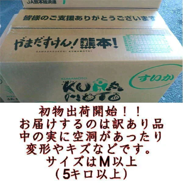 すいか　訳あり　サイズM以上（5キロ以上）スイカ　西瓜　熊本産　1玉入り