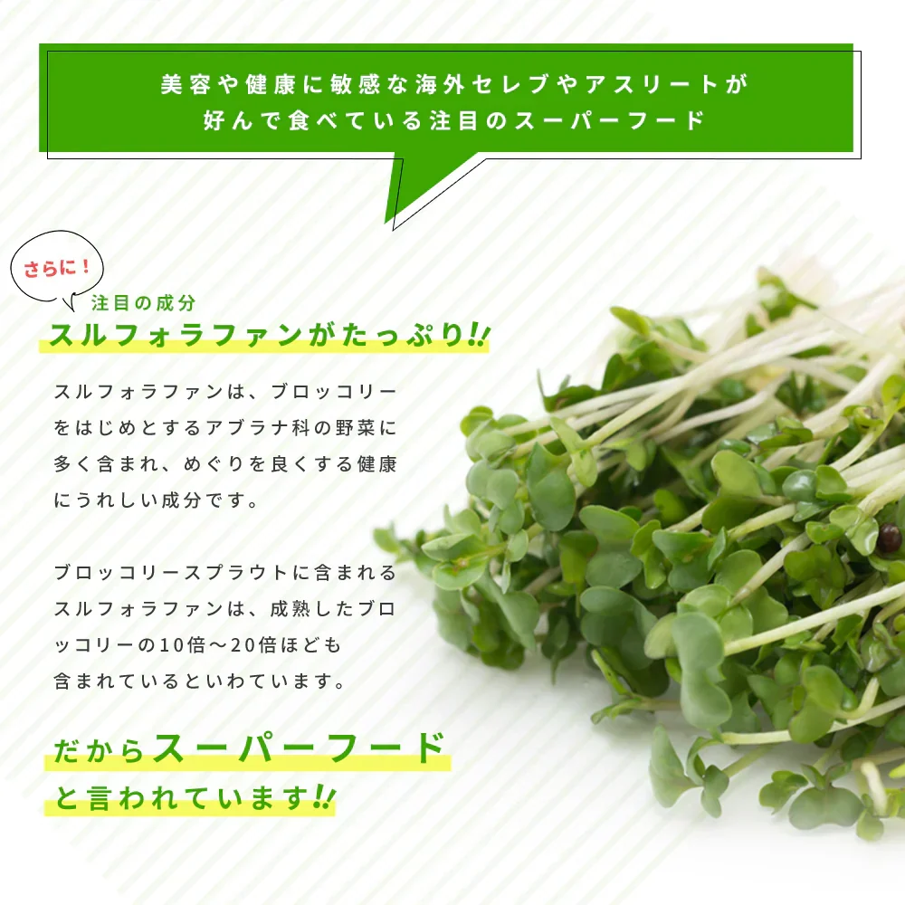 ブロッコリースプラウト《約1ヶ月分》 サプリ サプリメント 健康 女性 ダイエット スルフォラファン スーパーフード ブロッコリー スプラウト すっきり 栄養補給
