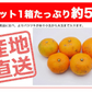 みかん 訳あり 送料無料 5kg B品 愛媛みかん 温州みかん ミカン 蜜柑 安い 甘い 箱買い 産地直送 愛媛県産 YDF-001