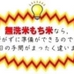 令和7年産 もち米 無洗米 送料無料 九州産　10kg もち米 5kg×2個セット餅米 5kg袋 送料込み