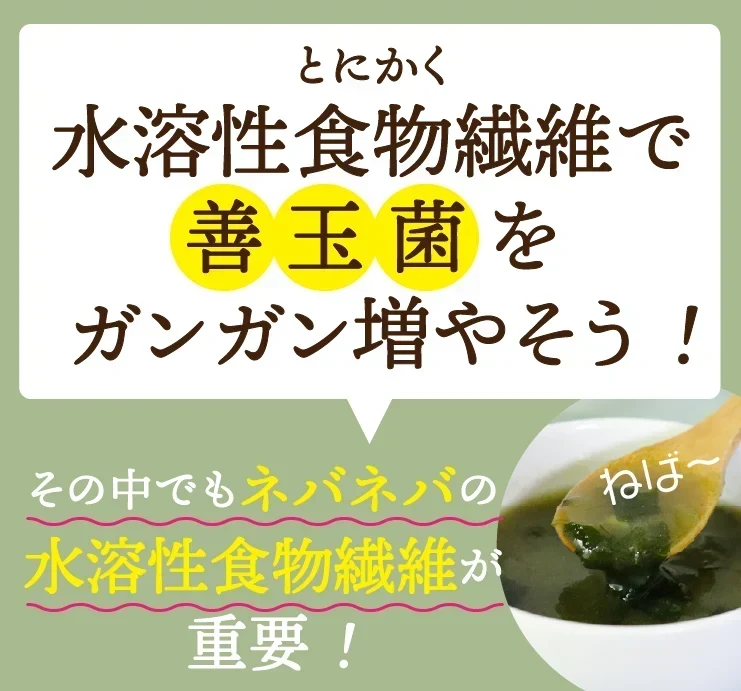 女王様のすごいねばねばスープ 12包／野菜買うより断然お得 1日の不足分６０００ｍｇネバネバ食物繊維／おいしく腸活　ぷるるん姫