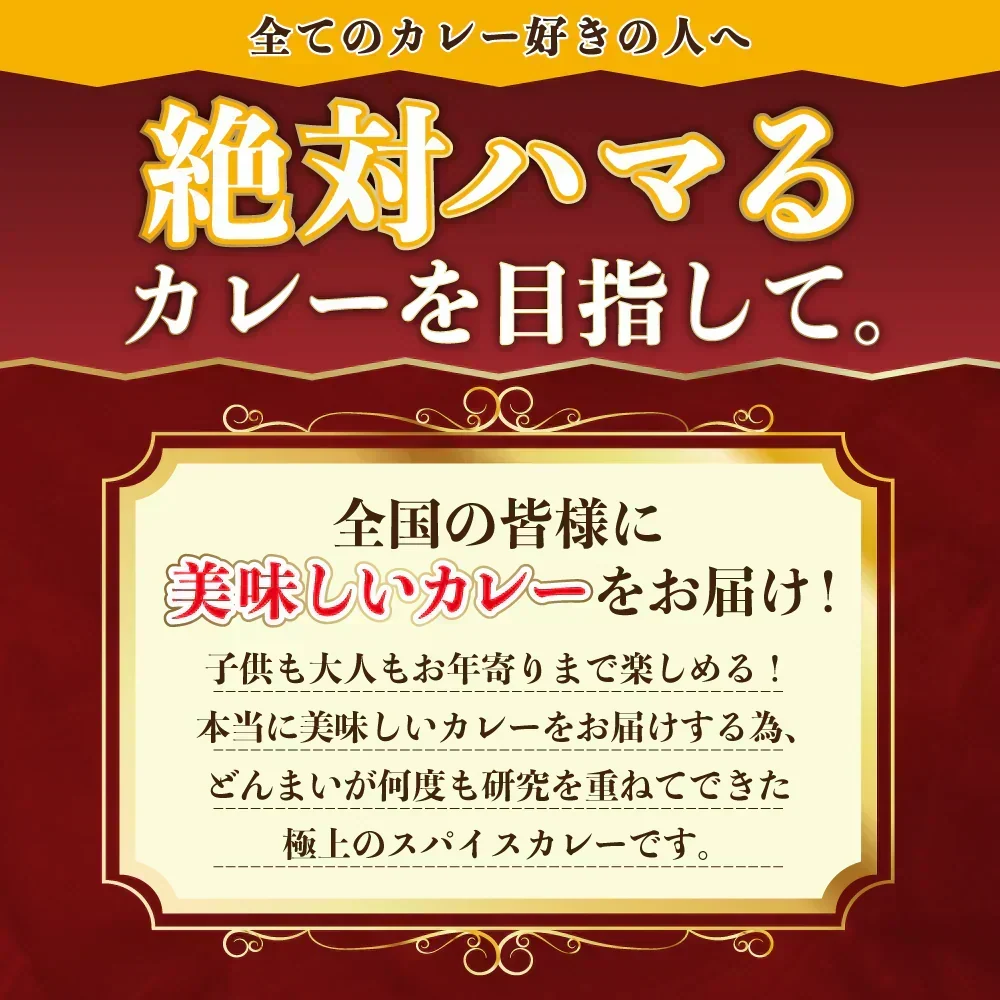 どんまいオリジナルカレー カレー 3種ミックス(180g×3) どんまいレトルトカレー ビーフカレー ポークカレー チキンカレー カレー 【カウシェファーム収穫対象商品】