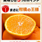 訳あり デコみかん 約5kg (5kg＋不良果保証250g) 送料無料 不知火 みかん ミカン 熊本県産 訳あり デコポン と同品種 熊本 柑橘 目玉商品 くまもと風土《7-14営業日以内に発送予定(土日祝除く)》