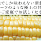 【8月下旬-9月下旬頃発送】嶽きみ とうもろこし 青森県が誇るプレミアム 24本セット まるで果物のような甘さ トウモロコシ コーン