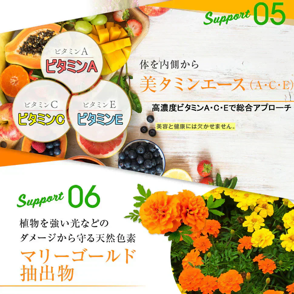 【ひがサプリ】新時代 太陽対策 飲む日焼止めサプリ お出かけ対策 サプリメント ひがサプリ バリア サプリ 飲む日焼け止め サンスティック 日焼止め UVケア UVカット 紫外線サプリ クリーム ニュートロックスサン UV 対策 ケア カット 紫外線カット 紫外線 日差しに負けない ビタミン 日焼どめ お肌 守る シスチン ビタミンC レッドオレンジ シトラス ローズマリー マリーゴールド 日本製