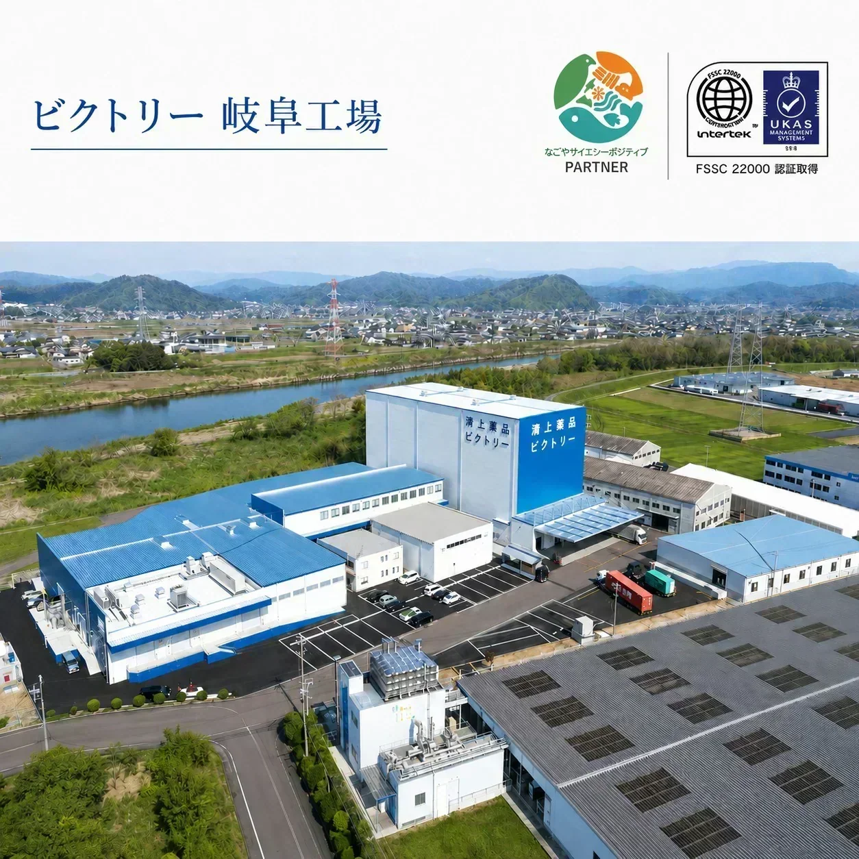 【6営業日以内出荷】【1ケース】  ミネラルウォーター 水 ピュアの森 天然水 500ml 24本 硝酸態窒素 亜硝酸態窒素 検査済み PFOS PFOA 検出限界以下【プチプラ特集】