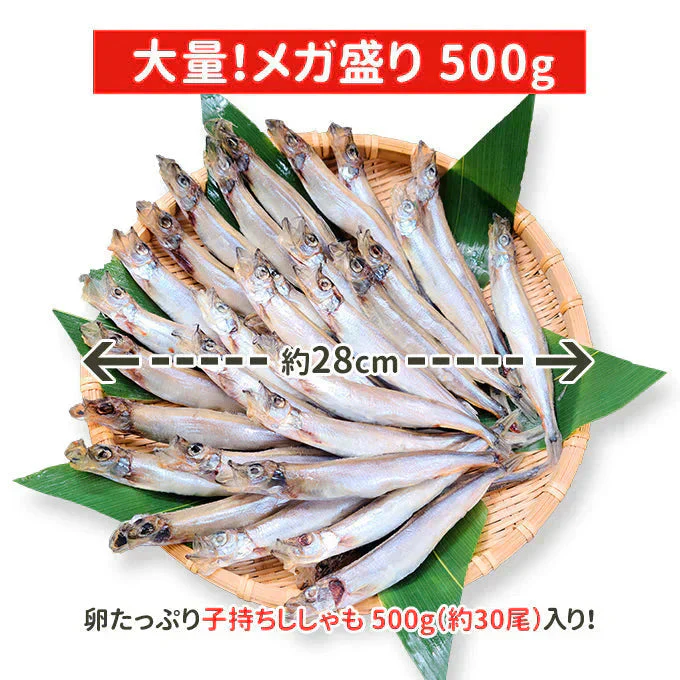 好評につき完売いたしました。子持ちししゃも 500g 送料無料
