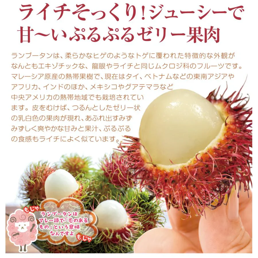 ランブータン 15玉 メキシコ産他