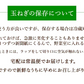 玉ねぎ サラダ玉ねぎ 5kg 送料無料 新玉 S～L 熊本県産 玉葱 たまねぎ 野菜