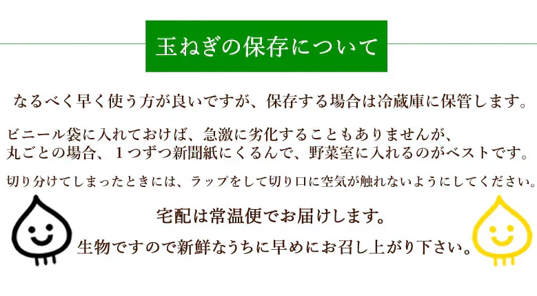 玉ねぎ サラダ玉ねぎ 5kg 送料無料 新玉 S～L 熊本県産 玉葱 たまねぎ 野菜