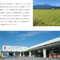 【11月下旬より順次出荷】りんご 訳あり 約5kg 品種おまかせ ご自宅用 山形県産 林檎 山形 (一部地域別途送料)