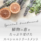 SATORI BOTANICAL サトリボタニカル トリートメント 250g 洗い流すトリートメント
