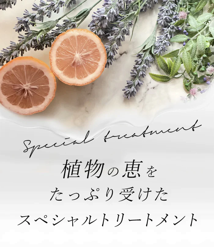 SATORI BOTANICAL サトリボタニカル トリートメント 250g 洗い流すトリートメント