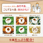 【アウトレット品】こらざるの湯 10包セット
