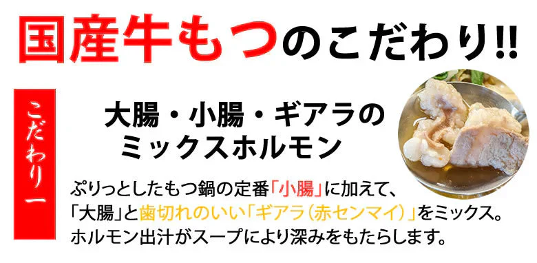 国産牛もつ鍋 大容量 10人前 送料無料 【大山監修】 国産牛モツ鍋セット醤油味 お取り寄せ もつなべ 牛もつ 小腸 大腸 ギアラ