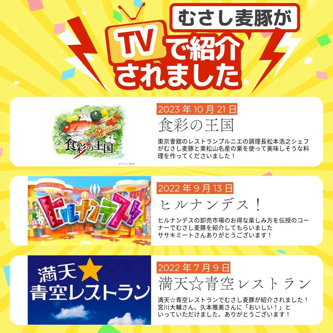 おうちごはん 国産 豚肉セット 2人前メニュー10品【豚ロース生姜焼き300g豚肩ロースとんかつ用300g豚ヒレブロック1本400-500g 豚ひき肉400g豚小間肉300g豚スペアリブ300g豚タン1本200g