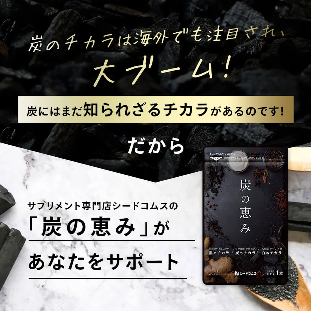 炭の恵み《約6ヶ月分》  炭 ダイエット サプリ サプリメント チャコールクレンズ  乳酸菌 炭サプリ オリゴ糖 炭クレンズ りんご線維 食物繊維 黒酢 もろみ 黒生姜  赤松炭【大容量】
